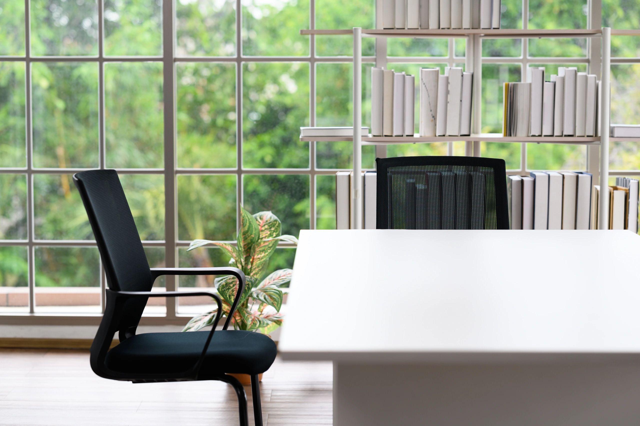 Executive office interior conveying professionalism and discretion