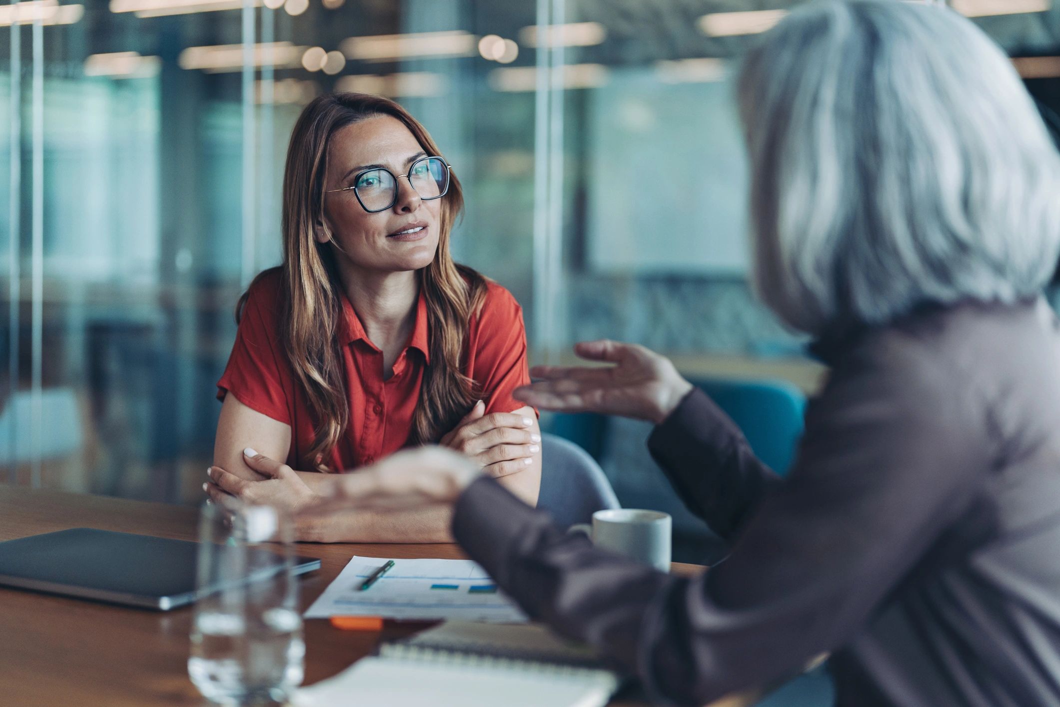 Professional advisor in consultation